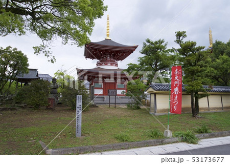 蓮華院誕生寺の多宝塔(熊本県玉名市) 蓮華院誕生寺の多宝塔(熊本県玉名市) 53173677