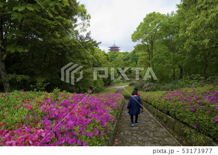 蓮華院誕生寺の奥の院の五重の御堂とつつじ 熊本県玉名市 の写真素材