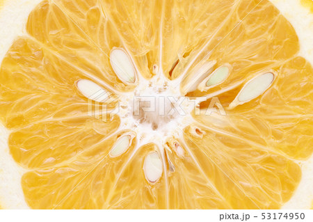 甘夏　みかん　背景 53174950