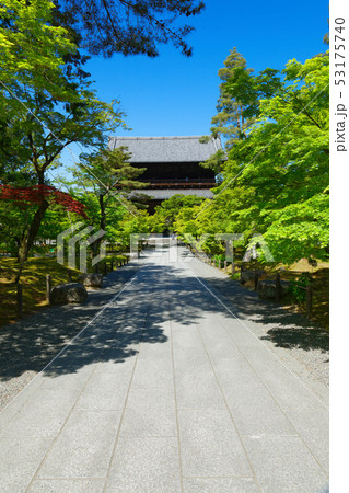 若葉と新緑の南禅寺　三門 53175740