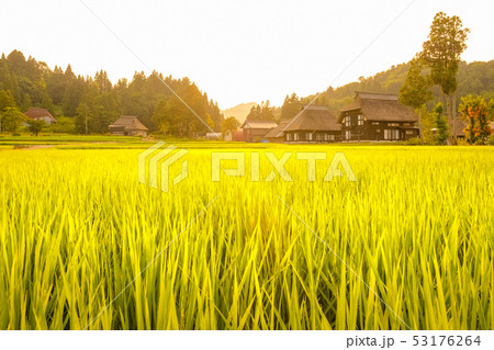 夏の農村風景 (荻ノ島環状集落の夕暮れ) 夏の農村風景 (荻ノ島環状集落の夕暮れ) 53176264