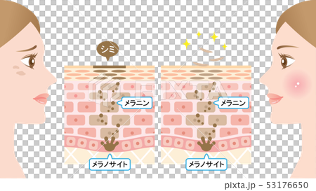 營業額皮膚部分和女人 53176650