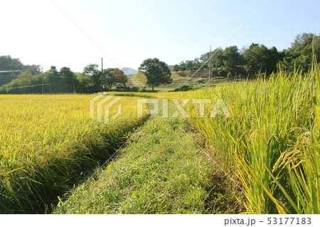 田舎 風景 自然 53177183
