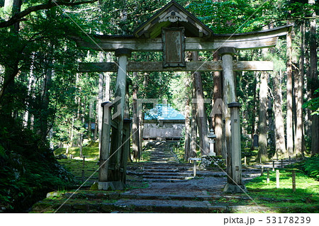 平泉寺白山神社　新緑 53178239
