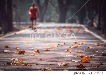 People and leaves falling on a small pathway . 53179434