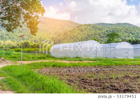 tent in smart farm near green mountain. tent in smart farm near green mountain. 53179451