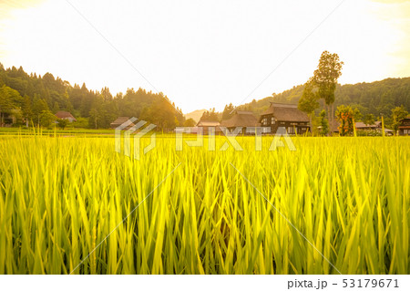 夏の農村風景 （荻ノ島環状集落の夕暮れ） 53179671