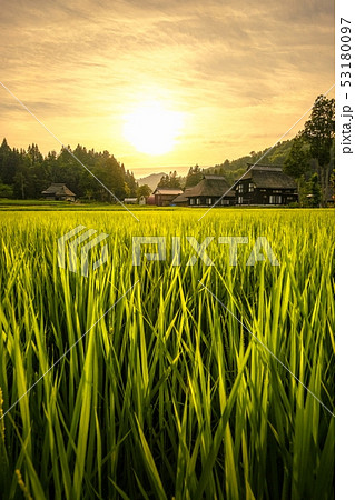 夏の農村風景 (荻ノ島環状集落の夕暮れ) 夏の農村風景 (荻ノ島環状集落の夕暮れ) 53180097
