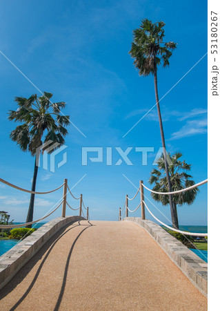 The bridge through the palm trees leads to the sea 53180267