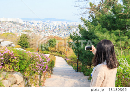 ソウル城郭 導電性 ソウル 53180366