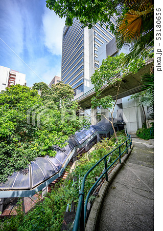 Old campus of Hong Kong University 53180656