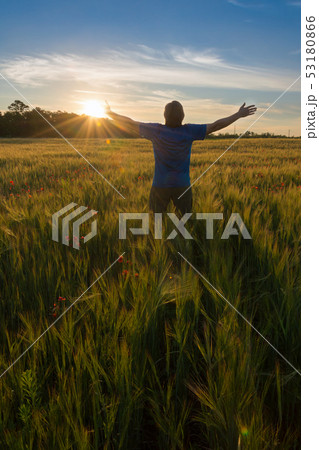 Landscape with wheat field and man Landscape with wheat field and man 53180866
