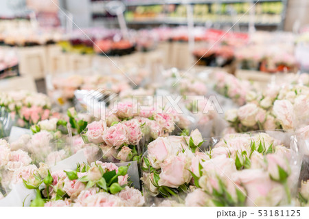 Warehouse refrigerator, Wholesale flowers for flower shops. Pink roses in a plastic container or 53181125