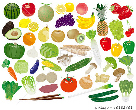 青果イラストセット 53182731