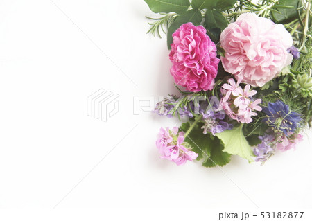アロマイメージ　香りの花と葉 53182877