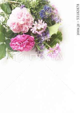 アロマイメージ 香りの花と葉 アロマイメージ 香りの花と葉 53182878