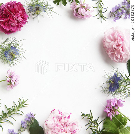 アロマイメージ　香りの花と葉 53182879