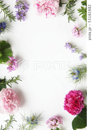 アロマイメージ 香りの花と葉 アロマイメージ 香りの花と葉 53182882