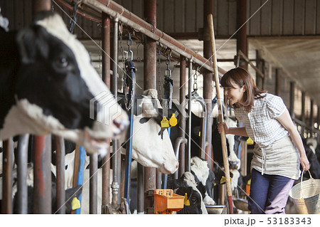 牛舎　女性 53183343