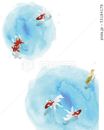 white blue and goldfish white blue and goldfish 53184179