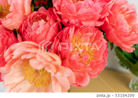 Coral peonies in a glass vase on wooden table.. Beautiful peony flower for catalog or online store 53184200