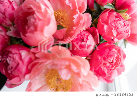 Coral peonies in a glass vase on wooden table.. Beautiful peony flower for catalog or online store 53184252