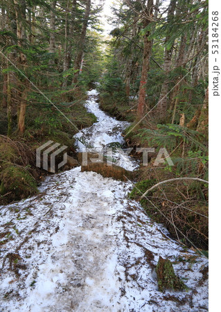 春の八ヶ岳 中山から高見石に向かう登山道の残雪 53184268