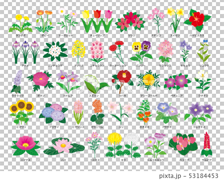 花のセット 花のセット 53184453