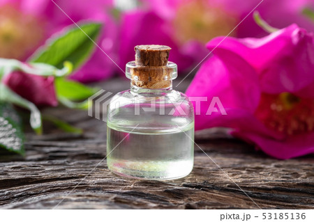A bottle of essential oil with Rugosa roses A bottle of essential oil with Rugosa roses 53185136