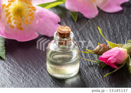 A bottle of essential oil with dog rose flowers 53185137