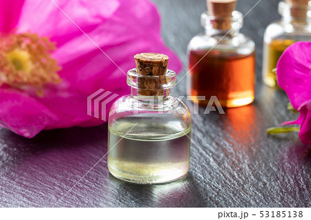 A bottle of essential oil with Rugosa rose flowers 53185138