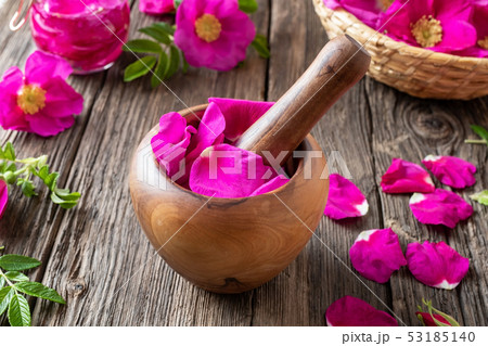 Fresh rosa rugosa petals in a wooden mortar 53185140