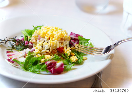 サラダをいただきましょう 53186769