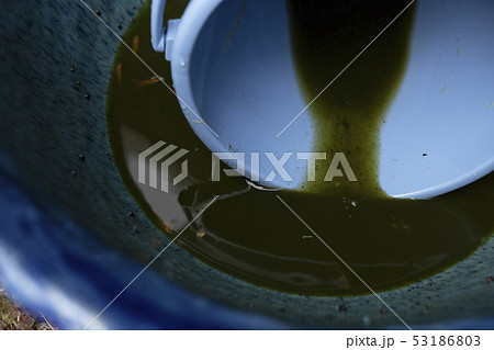 水連鉢 水連鉢 53186803