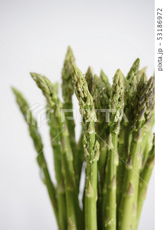 アスパラ 53186972