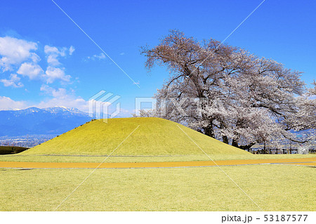 【山梨県笛吹市】八代ふるさと公園の甲州蚕影桜と盃塚古墳 53187577