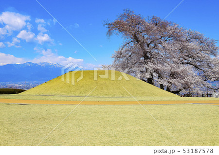 【山梨県笛吹市】八代ふるさと公園の甲州蚕影桜と盃塚古墳 53187578