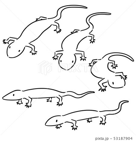 vector set of lizards 53187904