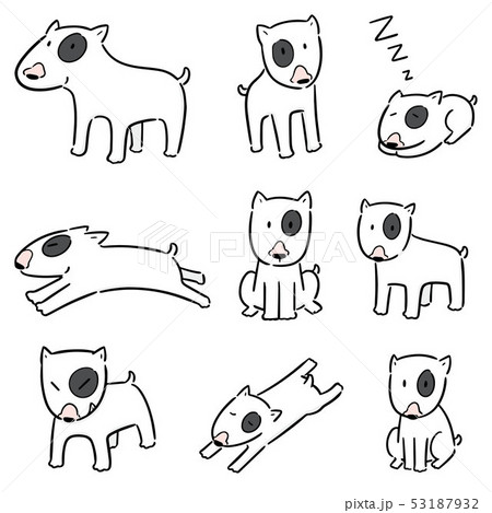 vector set of dog, bull terrier 53187932