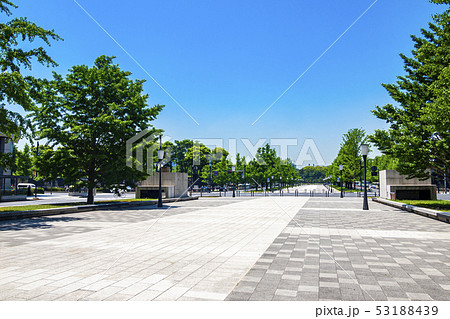 【東京都】丸の内　行幸通り 53188439