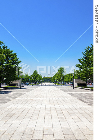 【東京都】丸の内 行幸通り 【東京都】丸の内 行幸通り 53188441