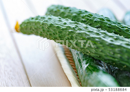 きゅうり　スーヨー（四葉）きゅうり 53188684