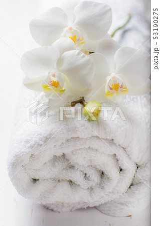 SPA concept with towel and orchid 53190275