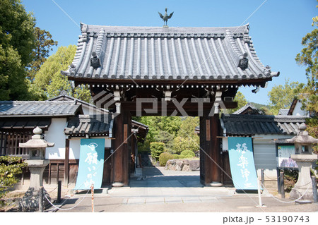 泉涌寺2019 53190743