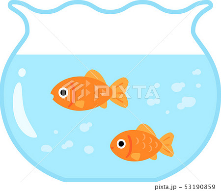 金魚鉢の中の金魚のイラスト素材