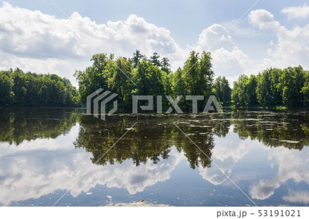 Forest trees on the river Bank. Reflection Forest trees on the river Bank. Reflection 53191021