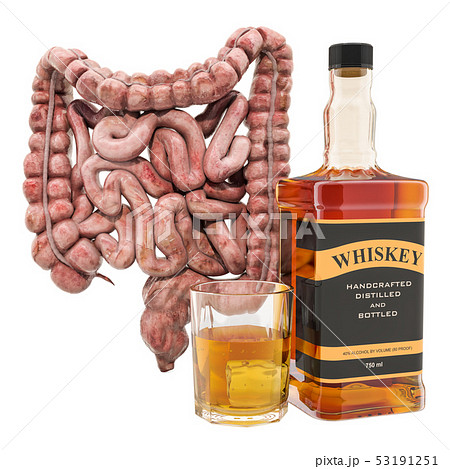 Alcohol's effects on the intestines concept Alcohol's effects on the intestines concept 53191251