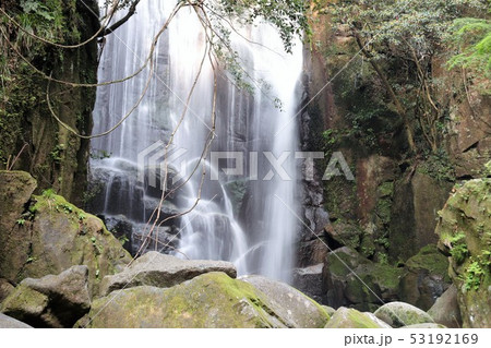桑の木の滝 53192169