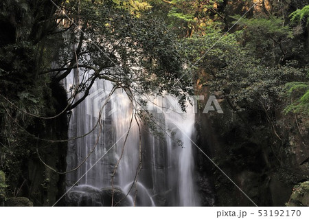 桑の木の滝 桑の木の滝 53192170