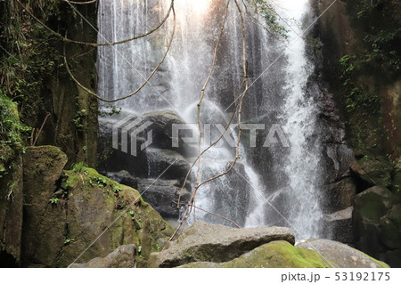 桑の木の滝 53192175